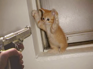 catburglar.gif